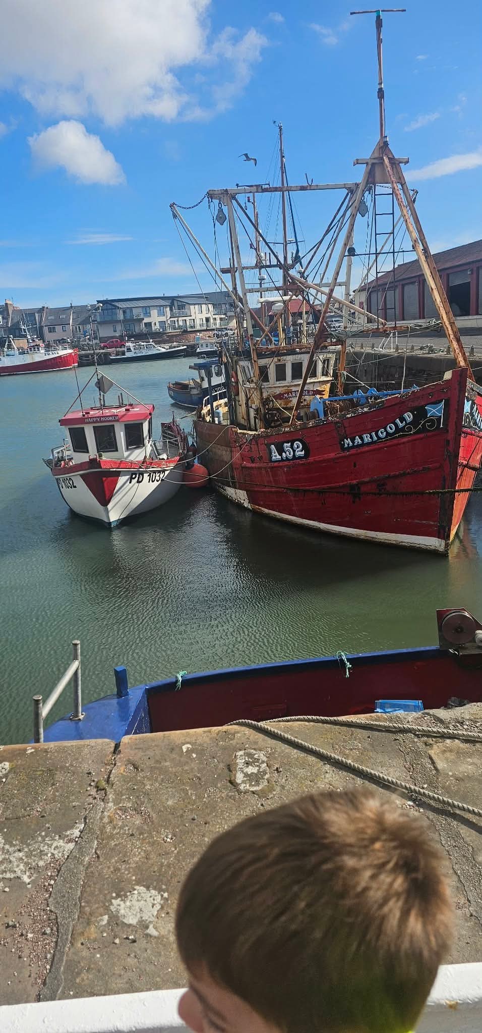 Arbroath harbour visit