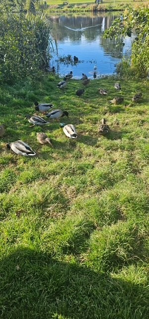 Nature and wildlife experiences